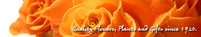 Quality Flowers, Plants and Gifts since 1920 from your Ashland area florist, Fields Flowers.