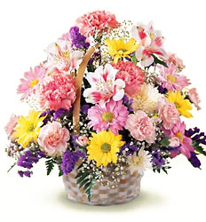 FTD Basket of Cheer from Fields Flowers in Ashland, KY